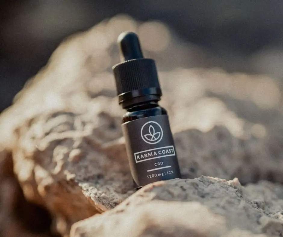 A small dropper bottle labelled Karma Coast CBD 1200 mg rests on a rough, sunlit rock surface, with a blurred natural background—an ideal setting to ponder what endocannabinoids are and how they contribute to overall wellbeing.