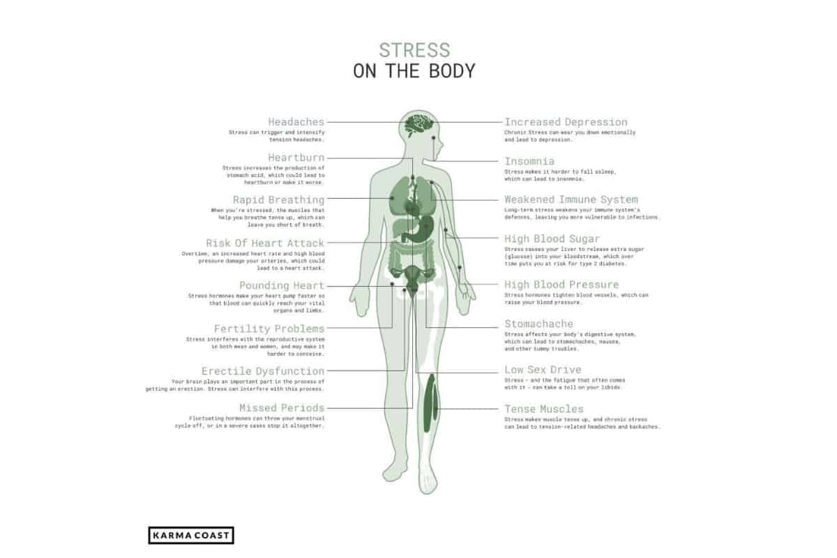 picture of the human body and stress zones