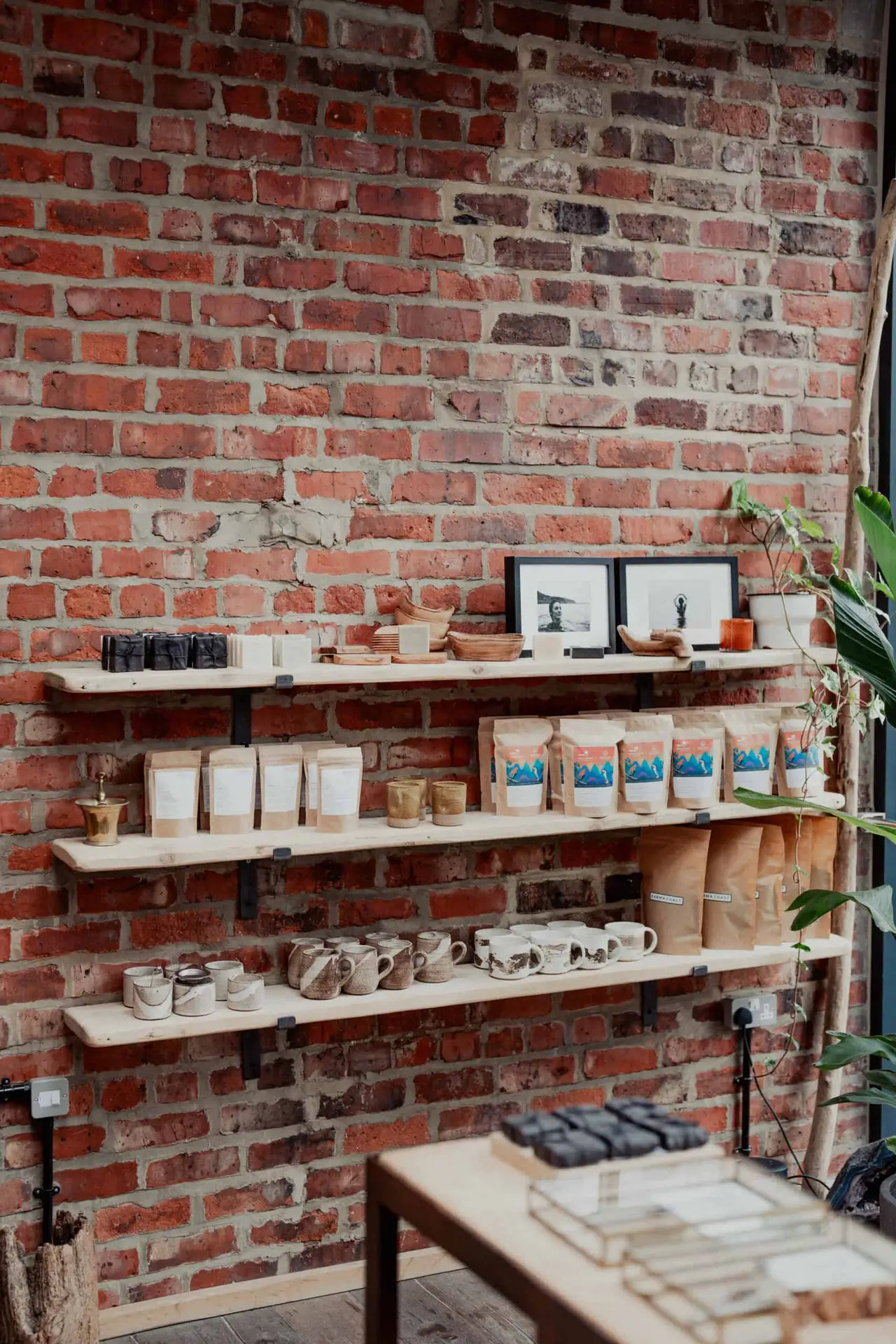 Four wooden shelves on a brick wall display coffee bags, cups, soaps, jars, framed photos, and small plants. A large green plant is in the right corner near a window. A table is partly visible in front.